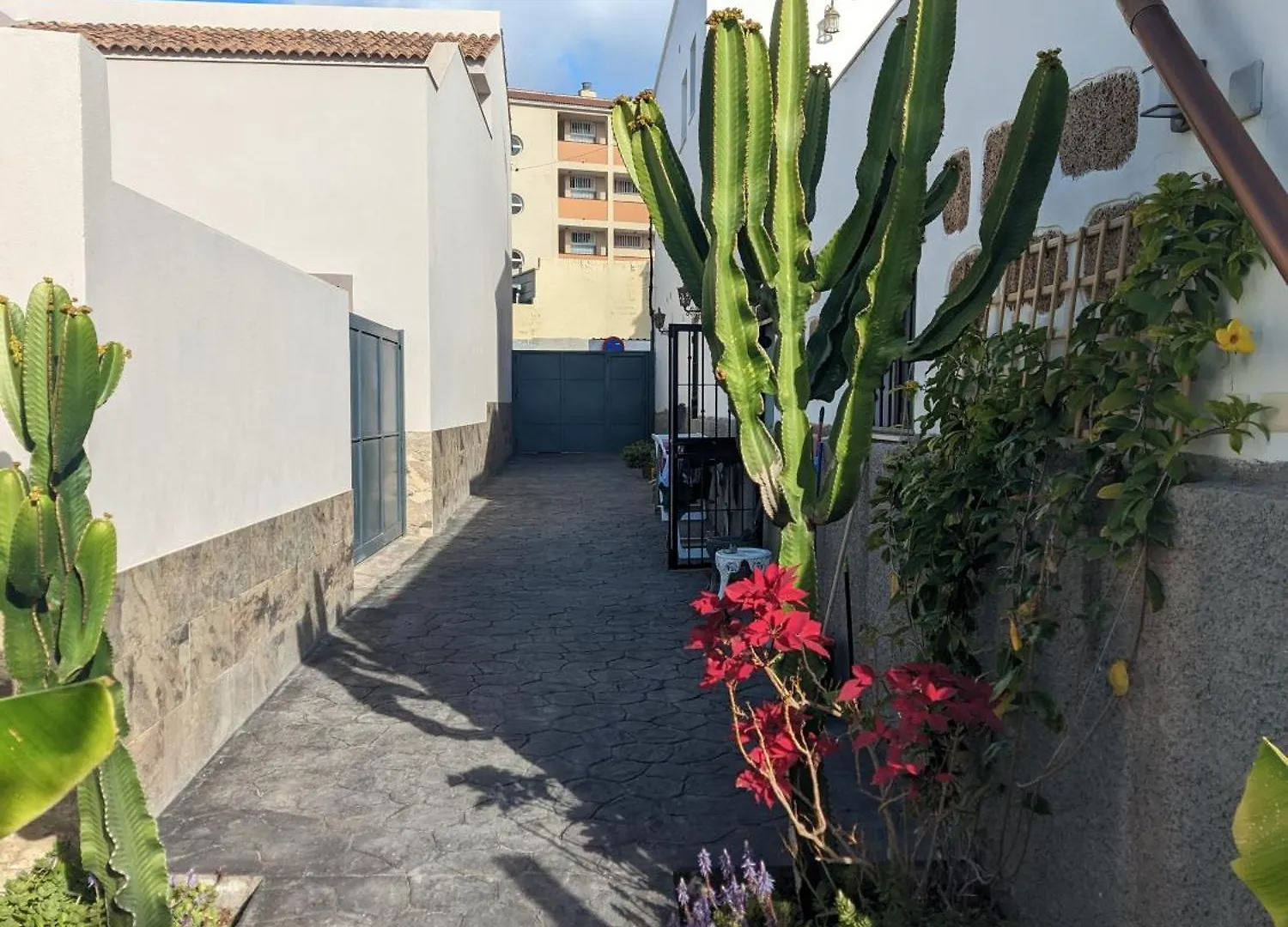 Casa Roberta Fuego Apartment Arona  Spain