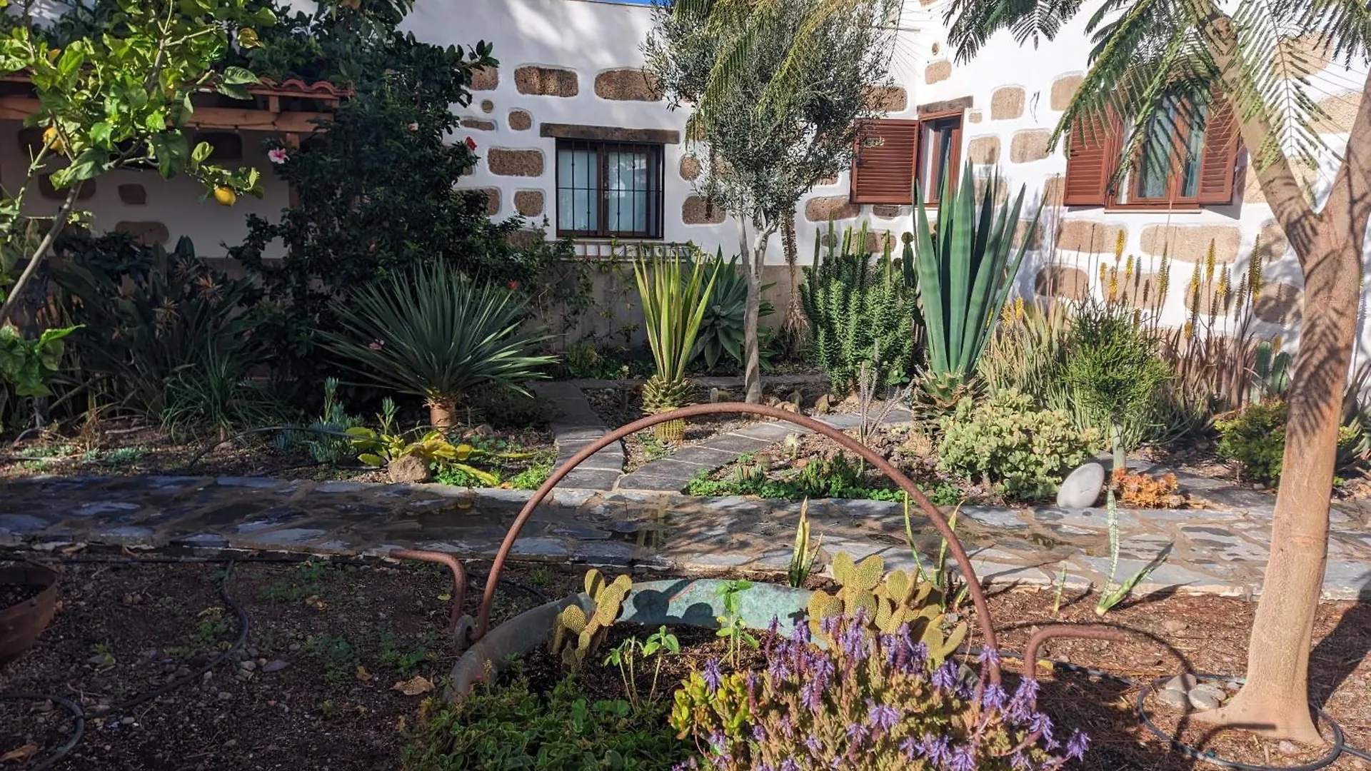 Casa Roberta Fuego Apartment Arona